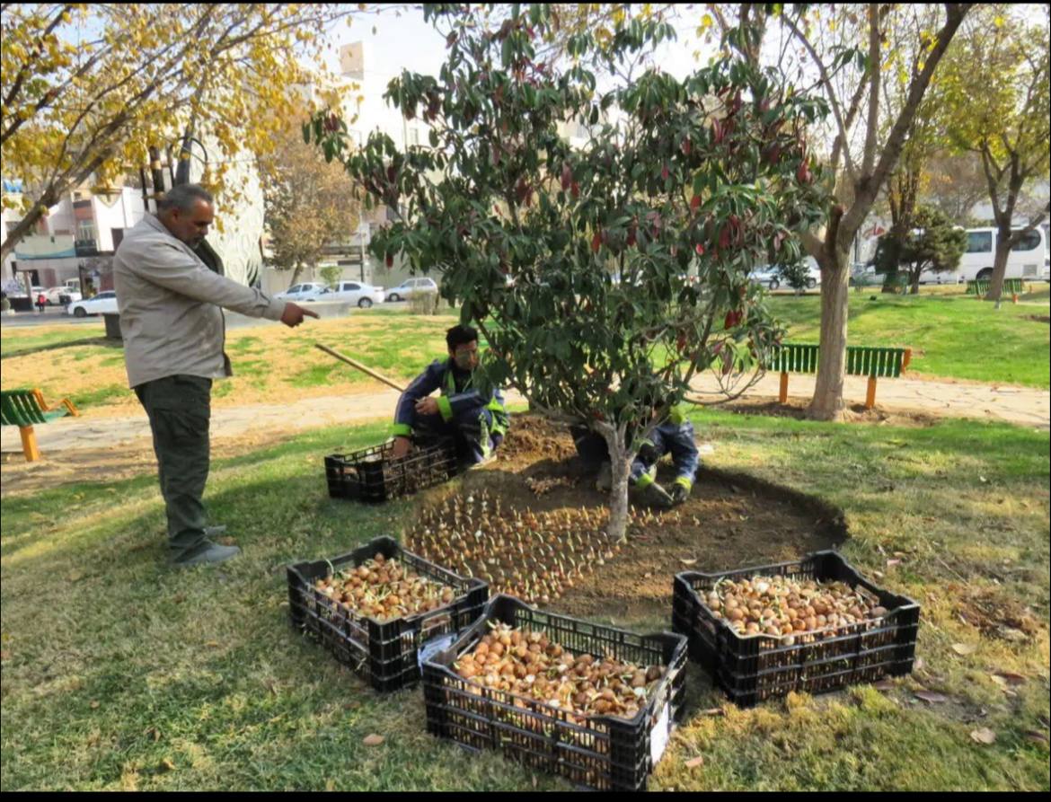 IMG 20251211 111401 197