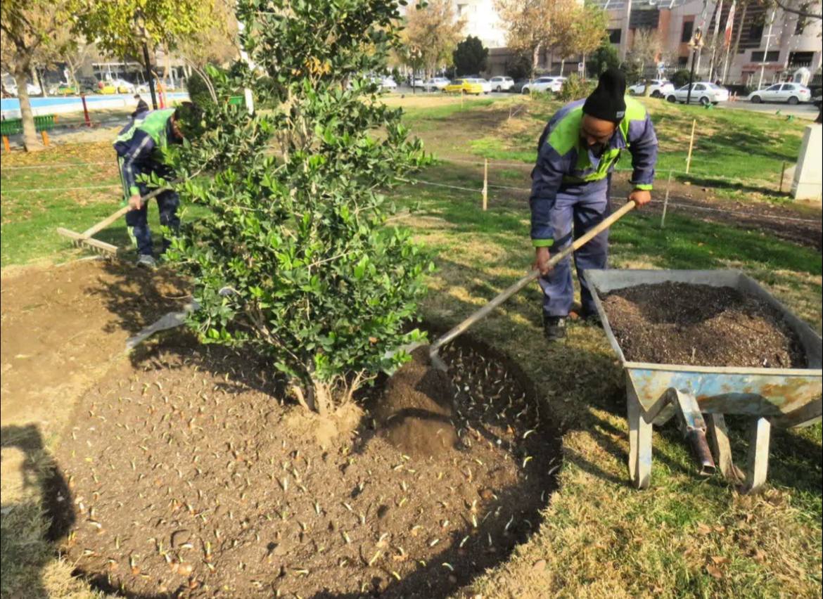 IMG 20251211 111407 216