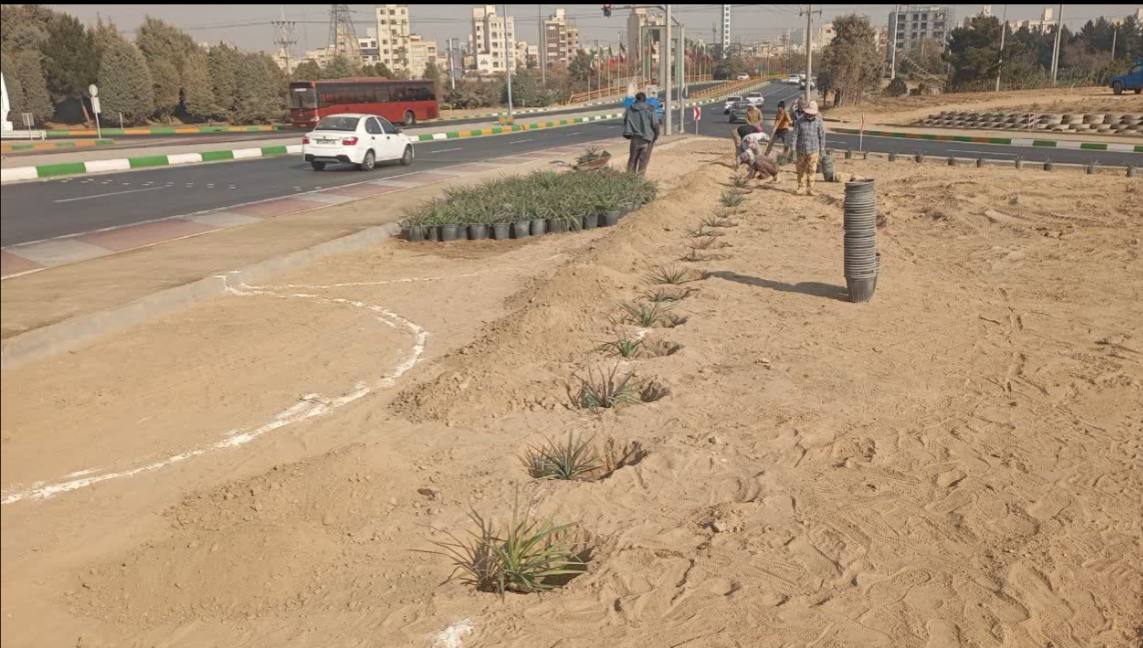 پیشرفت ۶۰ درصدی پروژه احداث فضای سبز منطقه ۸ مشهد 2 IMG 20251211 112154 542