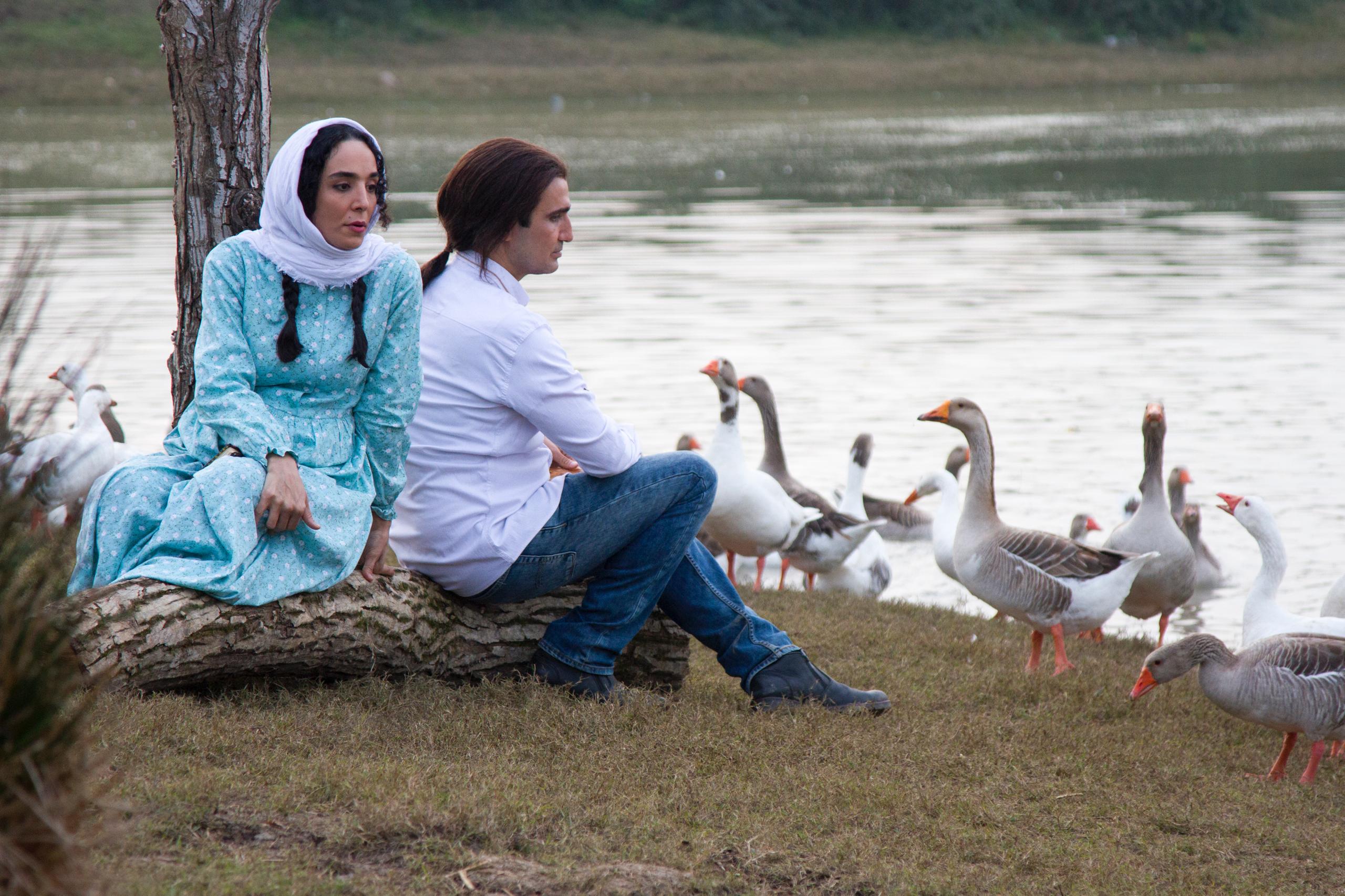 «زنی با ارابه چوبی» در آمریکا جایزه گرفت 7 IMG 20260617 WA0231